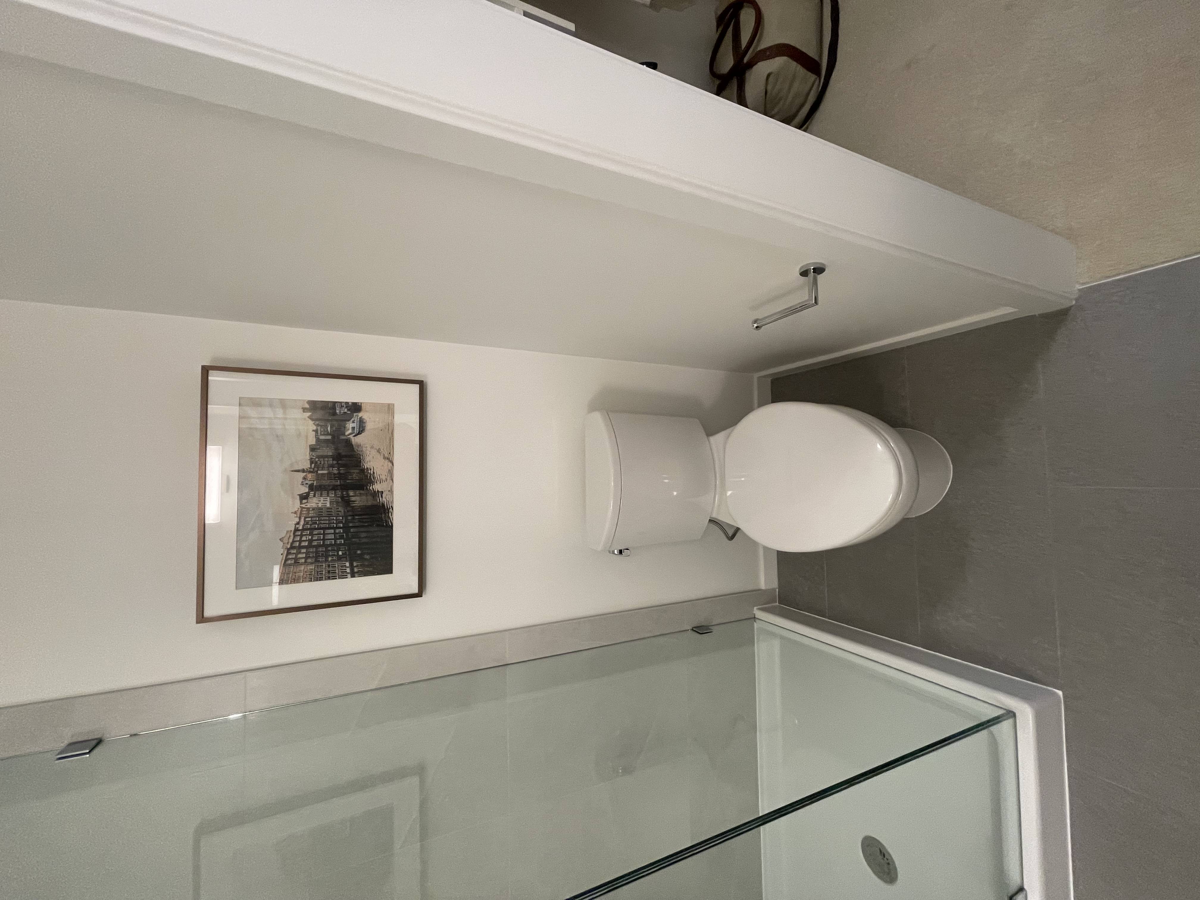 Glass shower with ceiling-mounted rain head and toilet install